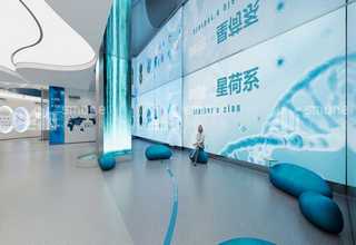 湖州恒基地毯厂家比价