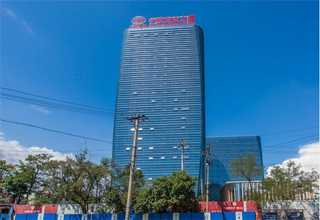 崇明区品牌马路绿化联系方式