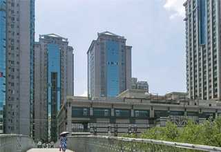 新疆老年古琴学堂